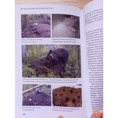 А. А. Захаров: Мураха. Родина. Колонія: ISBN 978-5-906811-68-4