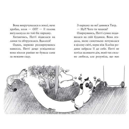 Белла Свіфт: Мопс, який хотів стати північним оленем. Книжка 2: Обложка Твердая