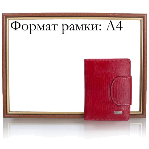 Женский кошелек Canpellini красный (SHI967-15) фото 8