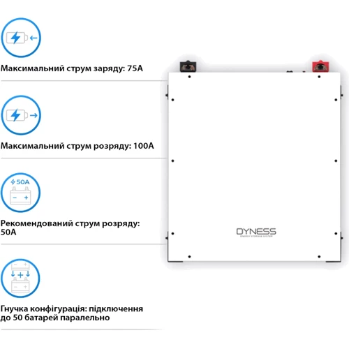 Акумуляторна батарея Dyness DLC5.0C 51.2V 100 Ah, 5.12 kwh: Тип LiFePO4