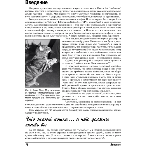 Кошки для чайников, 2-е издание: Обложка Мягкая