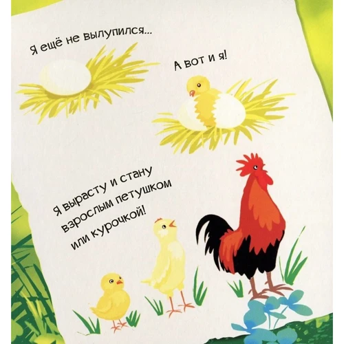 Мария Жученко: Знакомься, я цыпленок: Обложка Картон