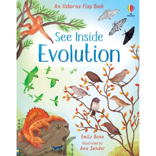 See Inside: Evolution