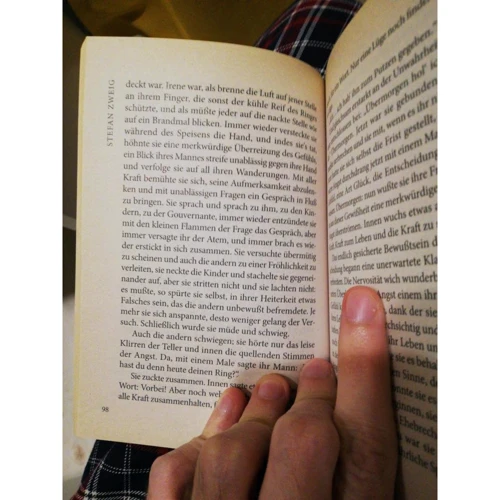 Stefan Zweig: Novellen: Виробник Каро