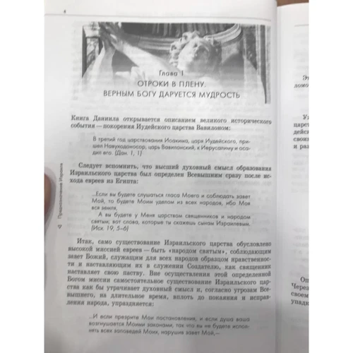 Д. В. Щедровицький: Пророцтва Книги Данила. Духовний погляд на минуле і майбутнє людства: Жанр релігії