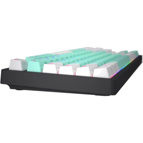 Клавиатура HATOR Rockfall 2 Mecha Signature Edition Black/Mint/White (HTK-520-BMW): Количество дополнительных клавиш нет