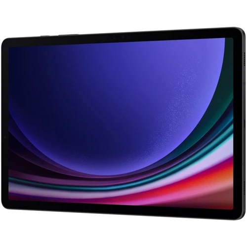 Планшет Samsung Galaxy Tab S9 12/256GB 5G Graphite (SM-X716BZAE): Дисплей 11" (2560х1600)
