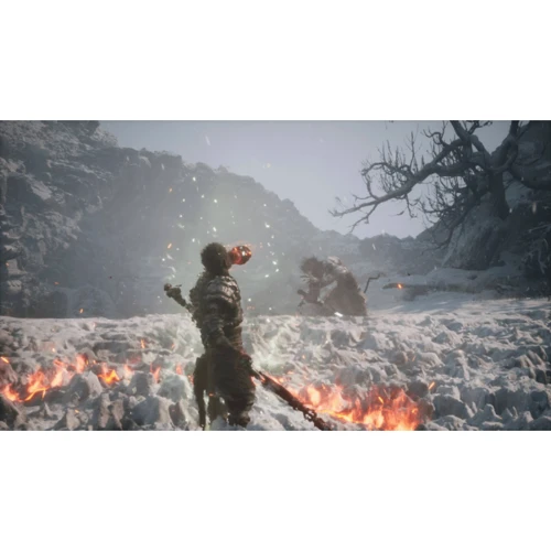 Black Myth: Wukong (PS5) фото 5