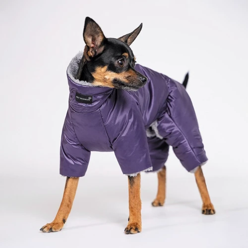 Комбинезон для собак Pet Fashion GLORY S фиолетовый: Размер животного Средние