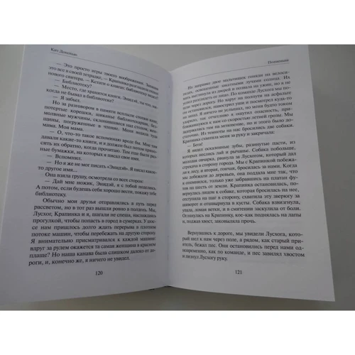Кіт Донохью: Підміниш: Кількість сторінок 384