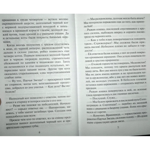 Эрин Хантер: Коты-Воители. Судьба Небесного племени. Сомнение: Обложка Твердая