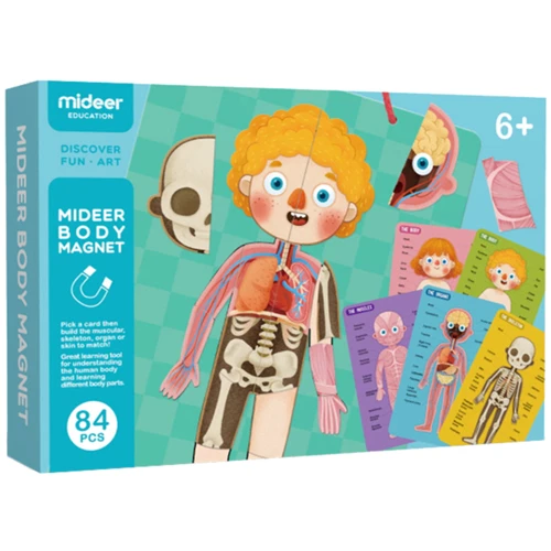 Магнітне тіло людини MiDeer MD2031: Виробник MiDeer