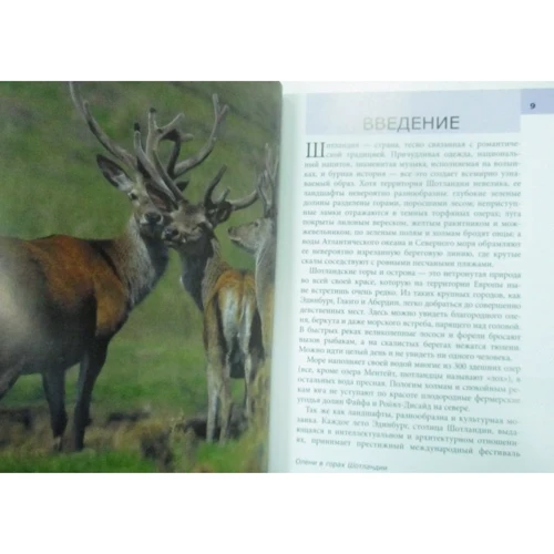 Шотландия. Путеводитель Berlitz Pocket Guide: ISBN 978-5-8183-1930-8