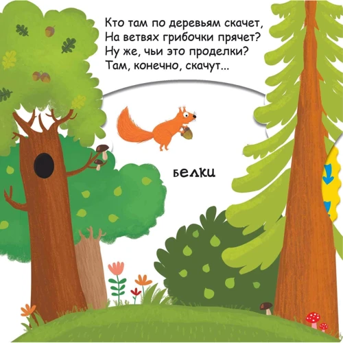Василий Федиенко: Кто живет в лесу: Обложка Картон