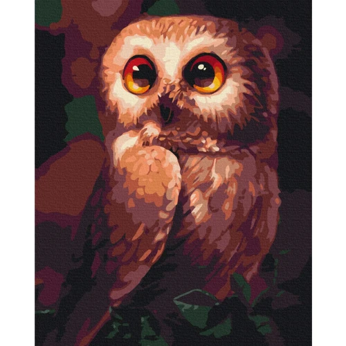 Картина по номерам Brushme Любознательная сова 40x50 см (BS51861)