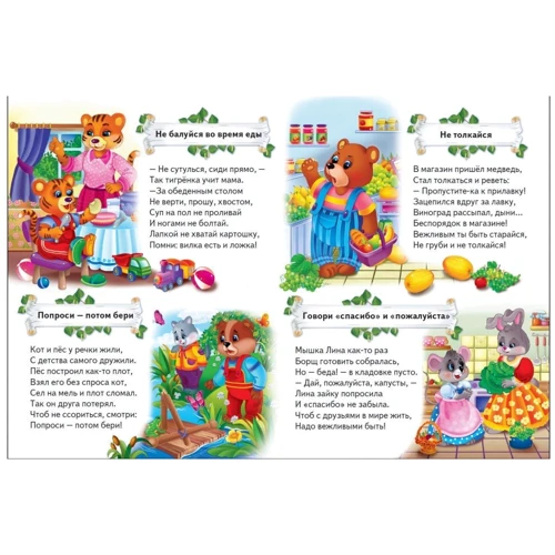 Моя первая книга правил: Количество страниц 16