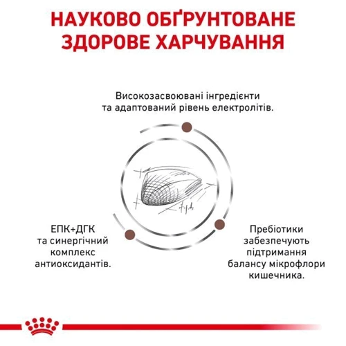 Сухий корм для котів Royal Canin Gastrointestinal при порушеннях травлення 2 кг (39050201): Порода всі породи