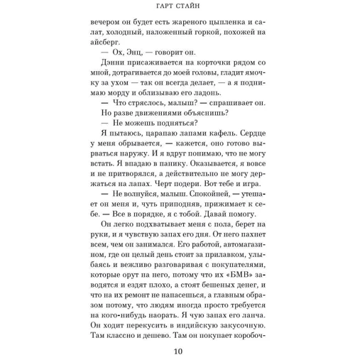 Гарт Стайн: Мистецтво бігу під дощем: Автор Гарт Стайн