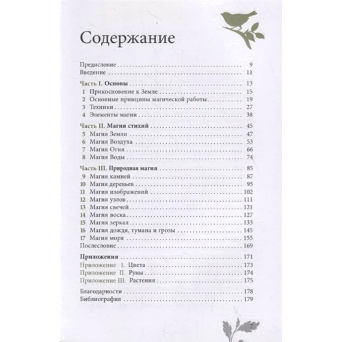 Скотт Каннінгем: Сила Землі. Техніки природного магії: Обкладинка Тверда