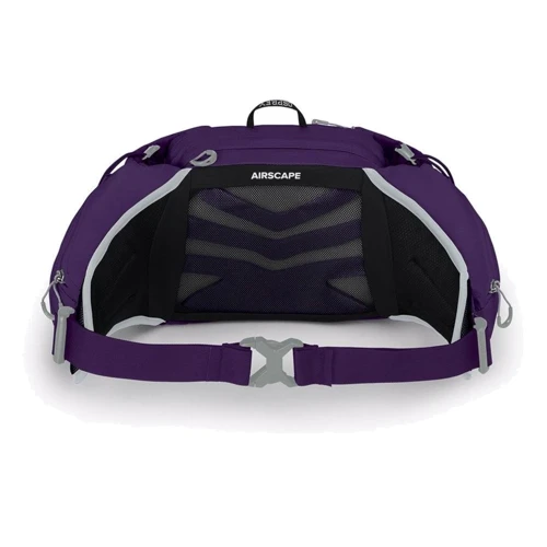 Поясная сумка Osprey Tempest 6 violac purple O/S фиолетовый (009.2397): Тип сумка на пояс