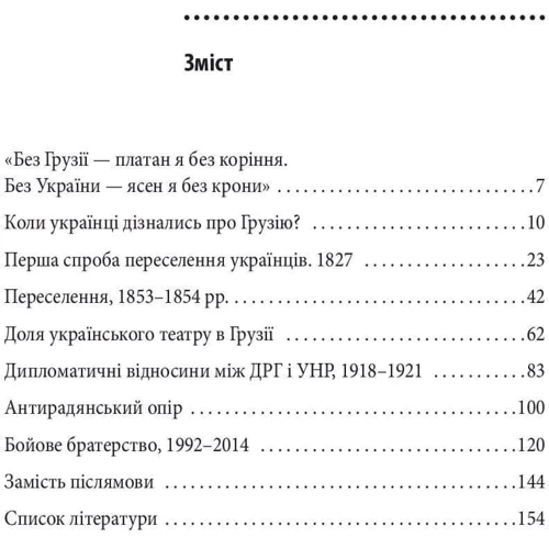 Олег Панфілов: Україна та Грузія — чому разом?: Обкладинка Твердая