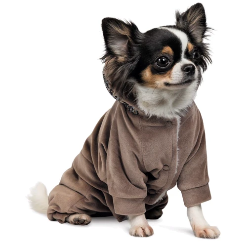 Костюм для собак Pet Fashion SOFT S (4823082427895) фото 6