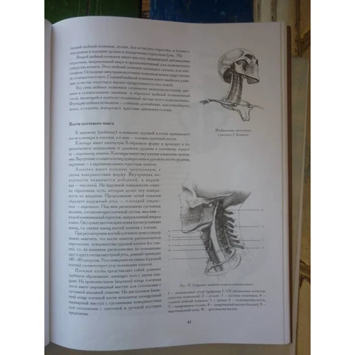 Голова человека: Основы учебного академического рисунка: ISBN 978-5-699-35151-0
