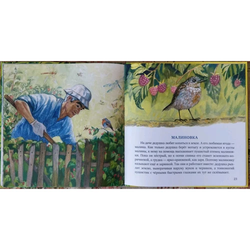 Марія Спєхова: Птахи за вікном: ISBN 978-5-4335-0778-4