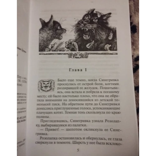 Эрин Хантер: Коты-воители. Пророчество Синей Звезды. Книга 2. Выбор: Количество страниц 320