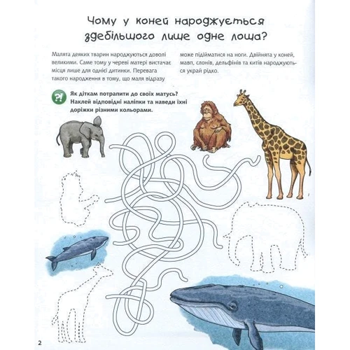 Чому? Чого? Навіщо? Малята тварин. Інтерактивна книжка для дітей віком від 4 до 7 років: Жанр Развитие ребенка