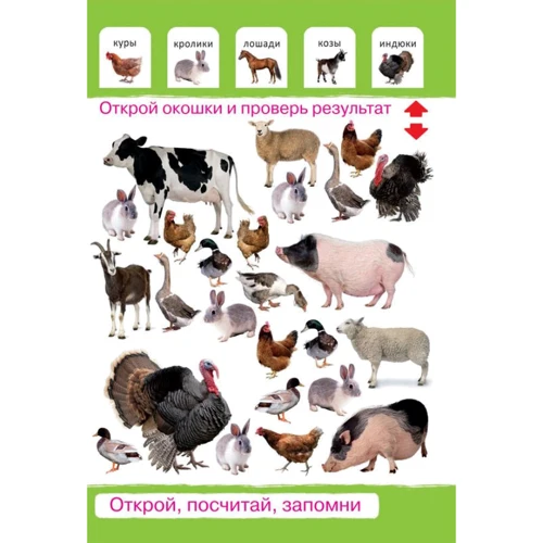 Перший фото-віммельбух. Тварини. Відкрий, порахуй, запам'ятай: ISBN 978-966-936-820-1