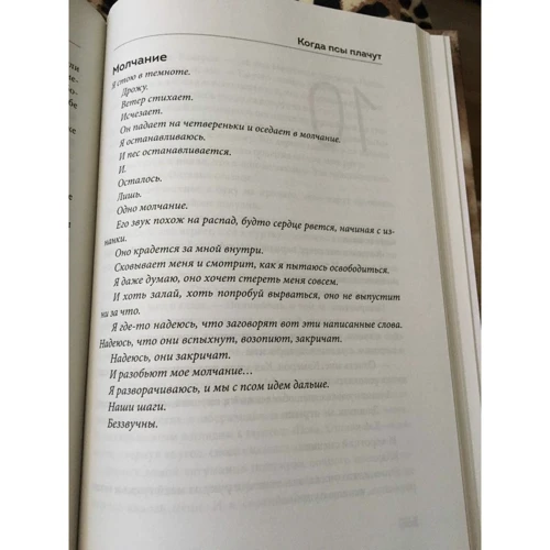 Маркус Зусак: Брати Волф: Обкладинка Тверда