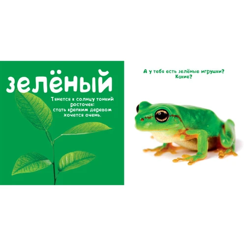 Кольору. Сонячна фото-книга: Обкладинка картон