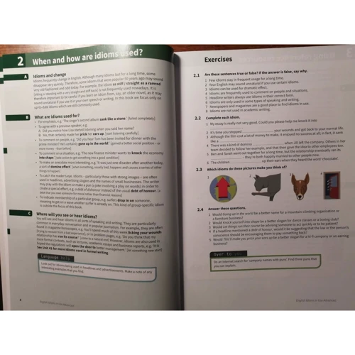 English Idioms in Use 2nd Edition Advanced with Answers: Кількість сторінок 182