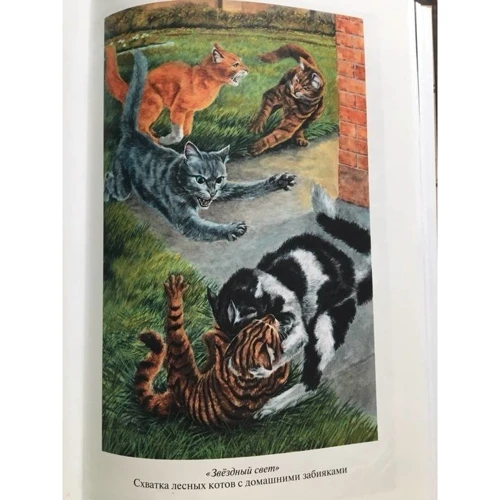 Эрин Хантер: Коты-воители. Рассвет. Звездный свет: ISBN 978-5-00111-351-5