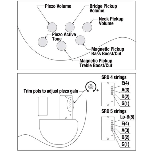 Бас-гитара Ibanez SRD900F-BTL (234961)