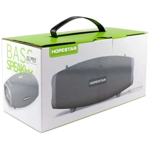 Акустика Hopestar H41 Grey: Тип портативна