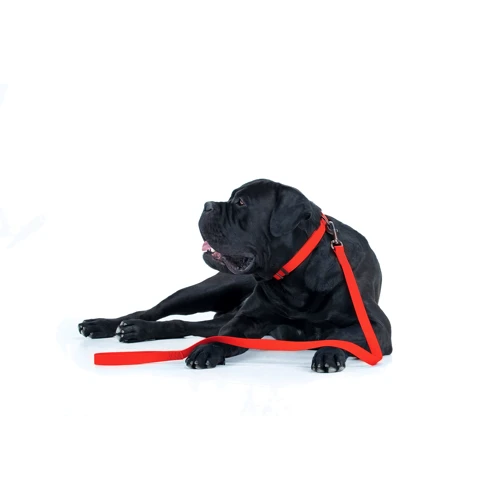 Поводок WAUDOG Waterproof, светящийся 25 мм 183 см красный (27223): Длина 1.83 м