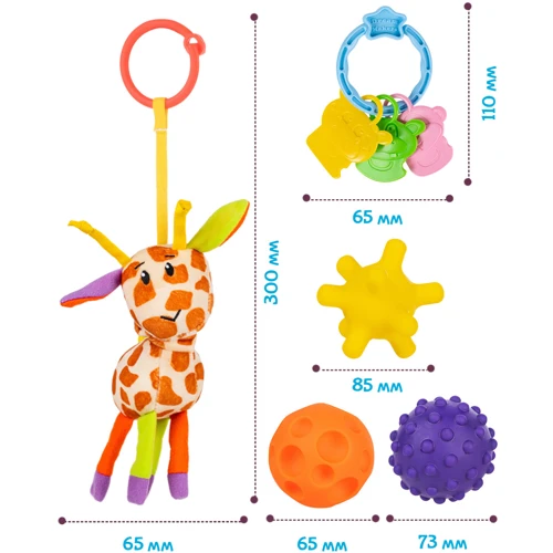 Набор развивающих игрушек Fancy Baby Моя первая игрушка (SET6)