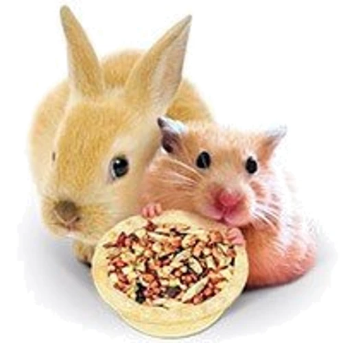 Товары для грызунов