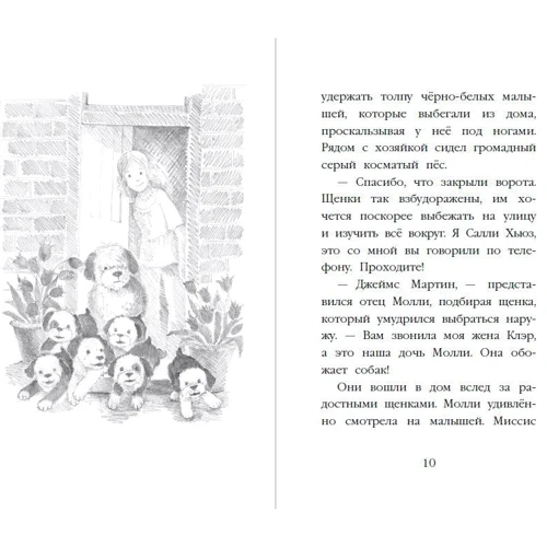 Холлі Вебб: Щеня Макс, або Обери мене!: Обкладинка Тверда
