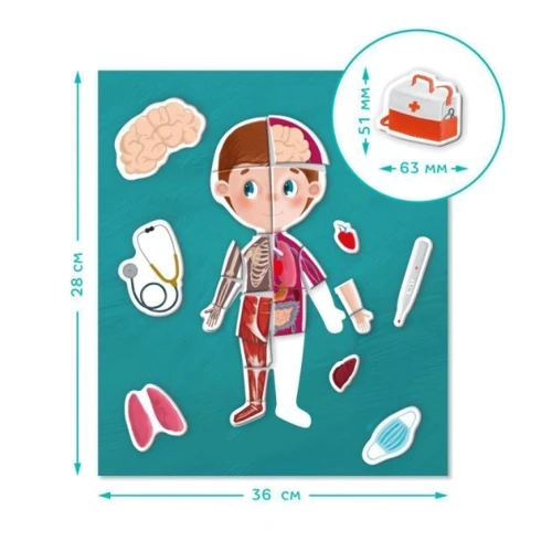 Розвиваюча магнітна гра Людське тіло DoDo 200220