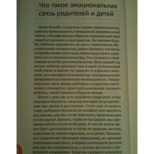 Карл Бріш: Теорія прив'язаності і виховання щасливих людей: Обкладинка Тверда