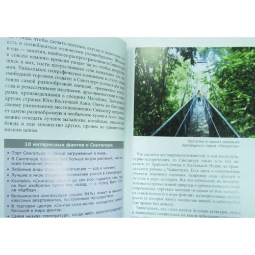 Сингапур. Путеводитель Berlitz Pocket Guide: Жанр Путеводители