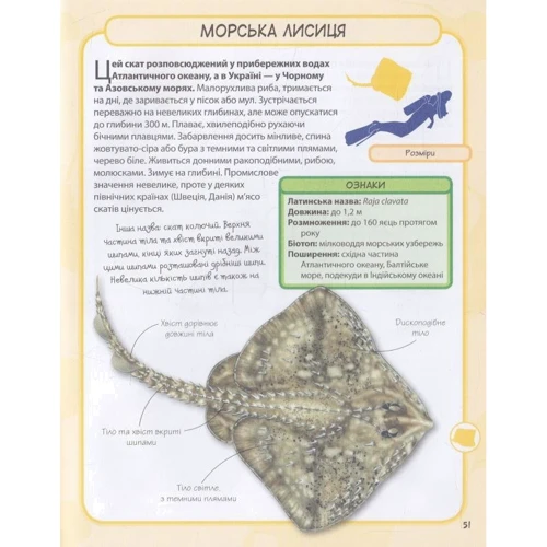 Акулі та скати. Міні-енциклопедія: ISBN 978-966-923-089-8