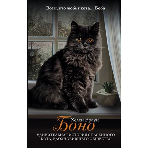 Хелен Браун: Боно. Удивительная история спасенного кота, вдохновившего общество