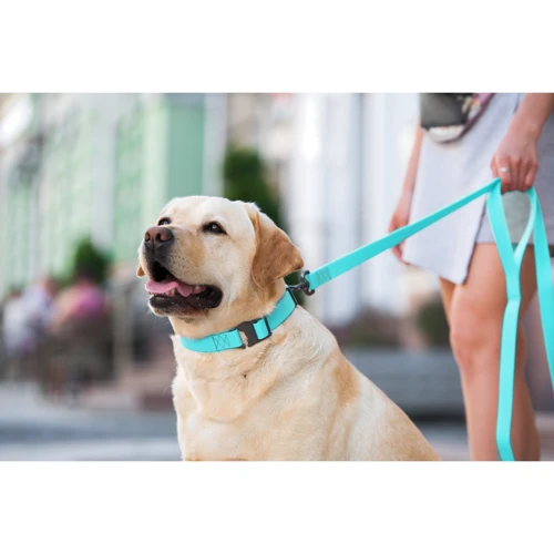 Поводок WAUDOG Waterproof, светящийся 15 мм 122 см ментоловый (2730): Длина 1.22 м