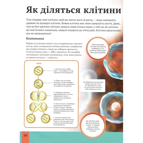 Клер Гібберт: Дитяча енциклопедія тела людини: Жанр Дитячі енциклопедії