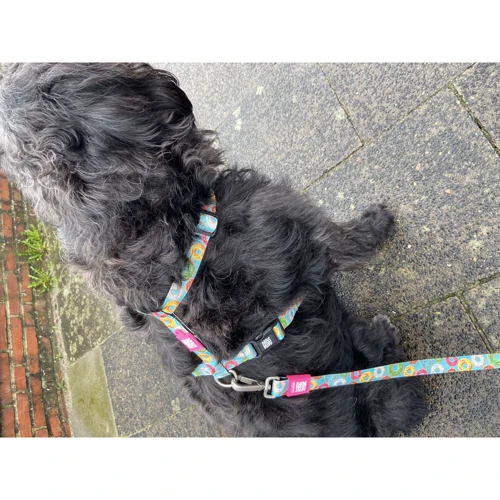 Шлейка для собак Max & Molly Urban Pets H-Harness - Donuts/М 2 см 53-69 см (4894512016330) фото 3