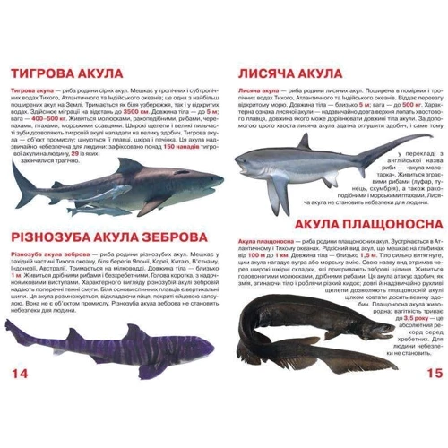 Велика книжка. Акули: Обложка Мягкая